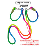 Reflective Nylon Dog Leashes