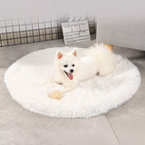 Round Dog Bed